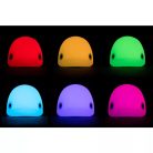 Asalite LED Éjjeli Lámpa Delfin 1W 