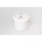 Asalite LED Éjjeli Lámpa Pingvin 1W