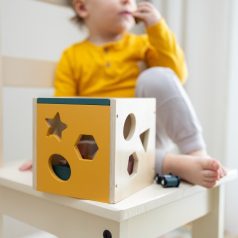 P&M Fa formaválogató játék Gravity Wood of Mars 12hó+