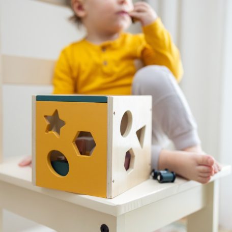 P&M Fa formaválogató játék Gravity Wood of Mars 12hó+