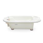 Cangaroo Dolphin Anatómiai babakád 