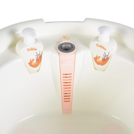 Cangaroo Dolphin Anatómiai babakád 