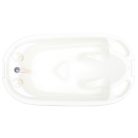 Cangaroo Dolphin Anatómiai babakád 