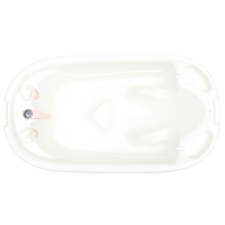 Cangaroo Dolphin Anatómiai babakád 