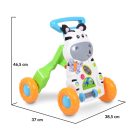 Moni  Push Walkr 2in1 járássegítő  Little Zebra