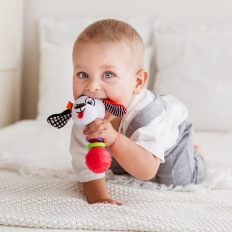 Bali Bazoo csörgő rágóka kutya Pedro