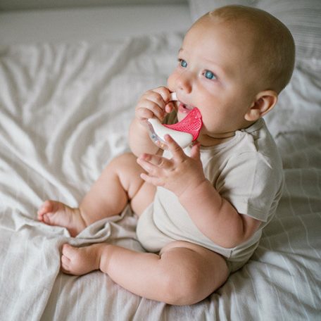 BabyOno csörgő rágóka 3hó+ (1593)