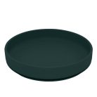 PETITE&MARS Szilikon tányér tapadókoronggal TAKE&MATCH Misty Green 6m+