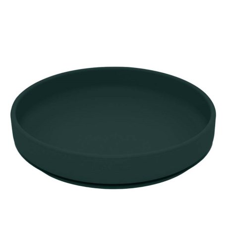 PETITE&MARS Szilikon tányér tapadókoronggal TAKE&MATCH Misty Green 6m+
