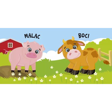 Ki van a képen? - Farmon - színváltós fürdőskönyv