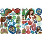 Ragassz hercegnőket - A szépség és a szörnyeteg