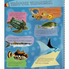 Zseblámpával - A tenger alatt 