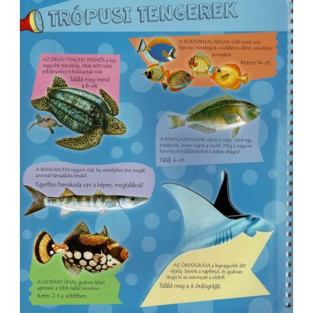 Zseblámpával - A tenger alatt 