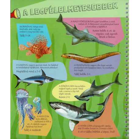 Zseblámpával - A tenger alatt 