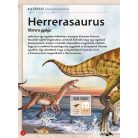 Varázslatos útmutató a dinoszauruszokhoz