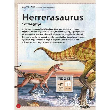 Varázslatos útmutató a dinoszauruszokhoz