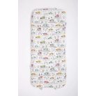 Incababy Babahinta Car Ride FW
