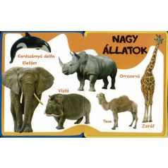 Szivacskönyv - Állatok