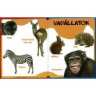 Szivacskönyv - Állatok