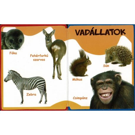 Szivacskönyv - Állatok