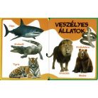 Szivacskönyv - Állatok