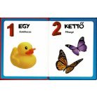 Szivacskönyv - Számok