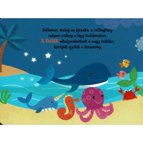 Hangos cimborák - A zenekar 