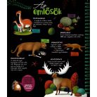 Csodalámpa - Ősállatok 