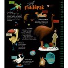 Csodalámpa - Ősállatok 