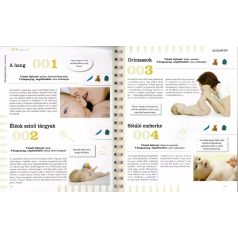   Neveljünk egészséges gyereket - 365 fejlesztő játék 3 éves korig