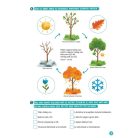 Minitanoda - Iskolaelőkészítő feladatok középső csoportosoknak 