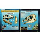 Nézd meg belülről - Dinók 