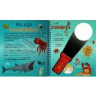 Csodalámpa - Tengeri állatok