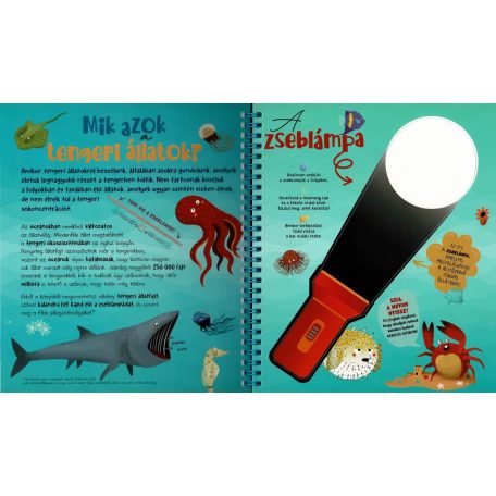 Csodalámpa - Tengeri állatok