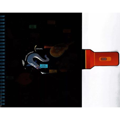 Csodalámpa - Tengeri állatok