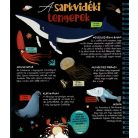 Csodalámpa - Tengeri állatok