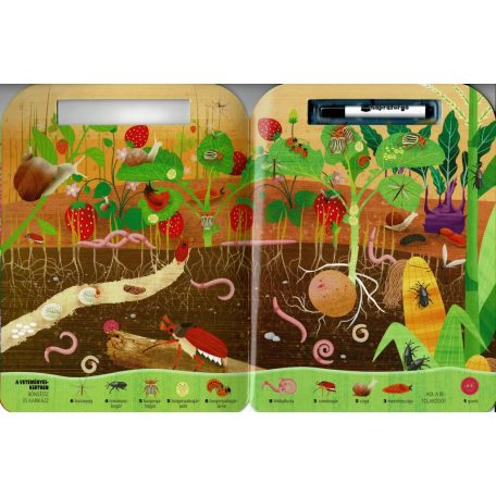 Böngéssz és karikázz! - Bogarak