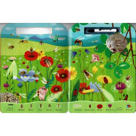 Böngéssz és karikázz! - Bogarak