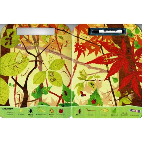 Böngéssz és karikázz! - Bogarak