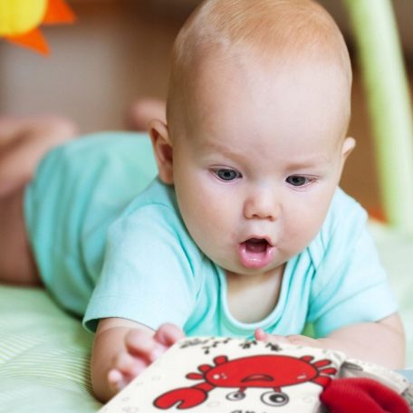 Akuku érzékfejlesztő babakönyv - Marine animals