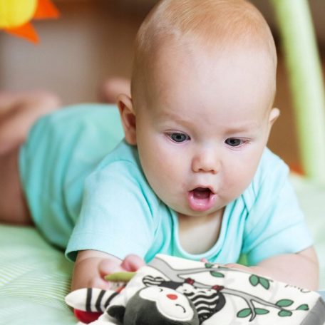 Akuku érzékfejlesztő babakönyv - Animal kingdom