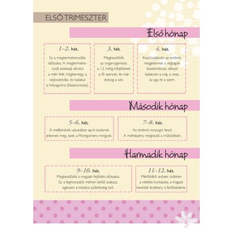 Napló a babavárás 9 hónapjáról