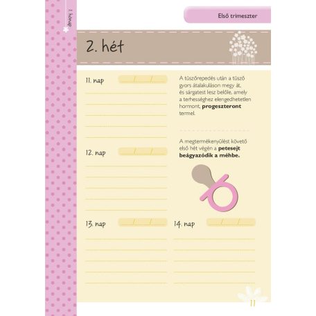 Napló a babavárás 9 hónapjáról