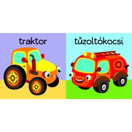 Hajócska és barátai  - sípoló könyv