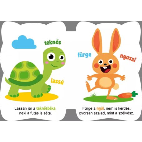 Pandi és barátai - Ellentétek 