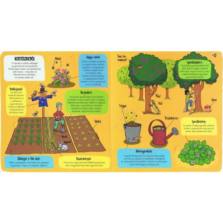 Kis felfedezők - A tanya 