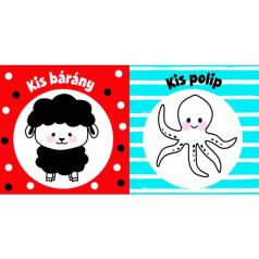 Kukucska - sípoló könyv