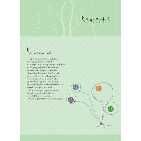 Napló a babám első évéről (fiús) 