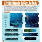 Dioráma - Tengeri állatvilág 