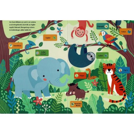 Böngéssz hangokat! - Állatnevek